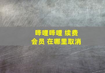 哔哩哔哩 续费会员 在哪里取消